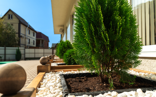 Zvyozdny Guest House