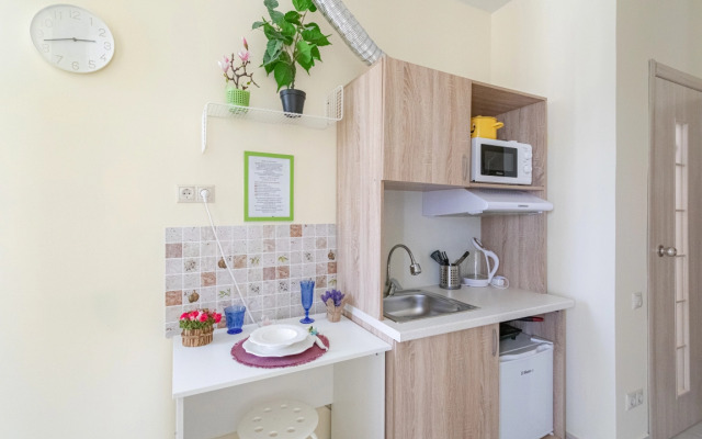 Апартаменты в ЖК Царская Площадь 383-5