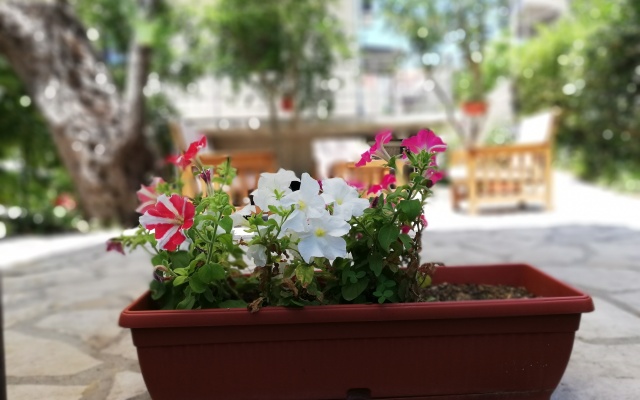 Tivat Luxury Apartments