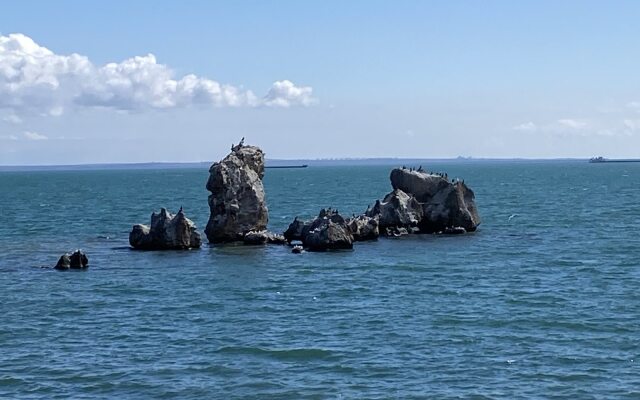 Гостевой дом С.В.