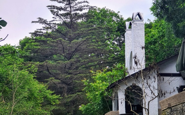 Polonezköy Country Club & Accommodation in the Wildlife Park