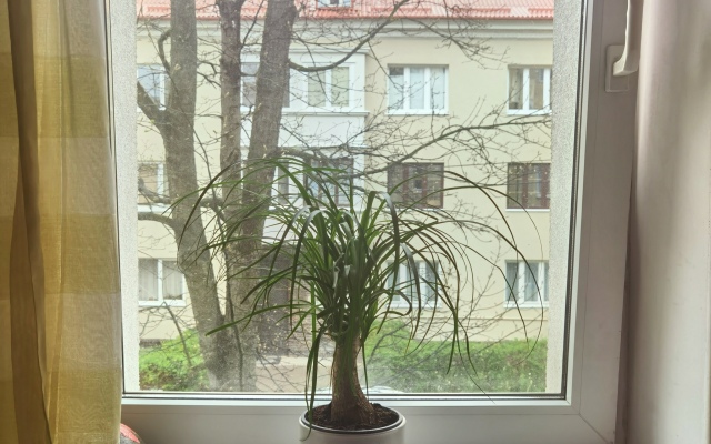 Апартаменты Дух Кёнигсберга