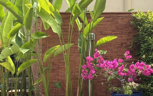 Soi Baan Song Thai Villa
