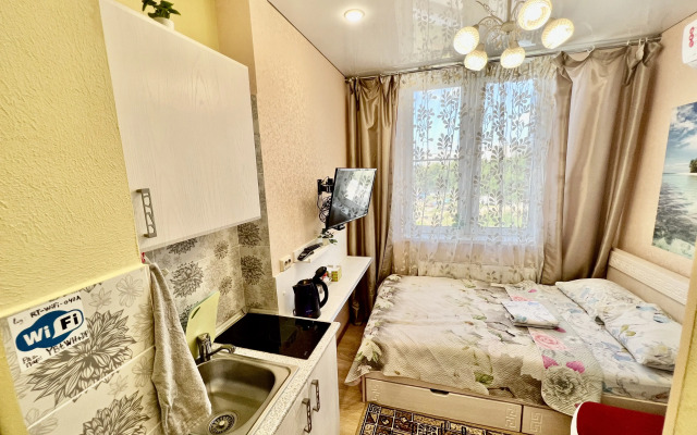 Апартаменты Студия Гостим в центре Казани