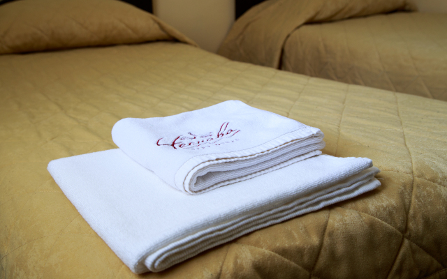 Chesnava Park-Hotel