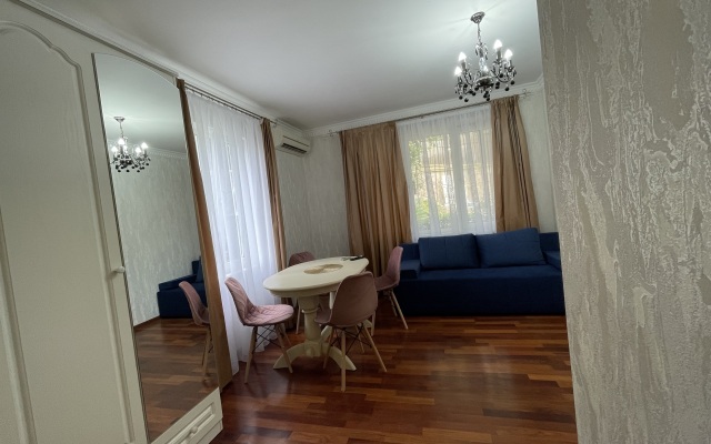 Studiya v Tsentre Goroda Flat