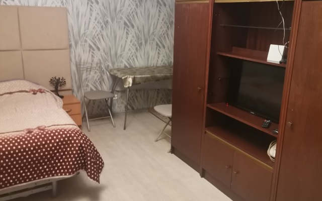 Studiya S Balkonom Flat