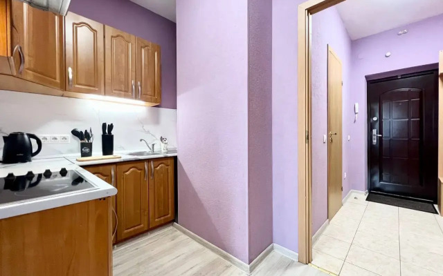 Studiya Gosti Doma u metro Pionerskaya Flat