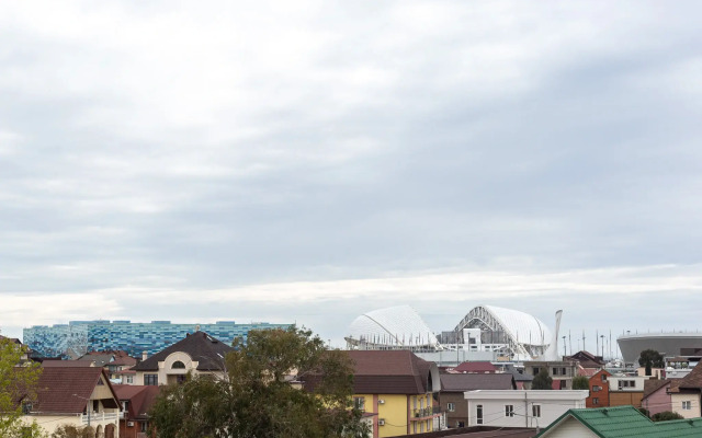 v Siriuse s vidom na Olimpijskij park Flat