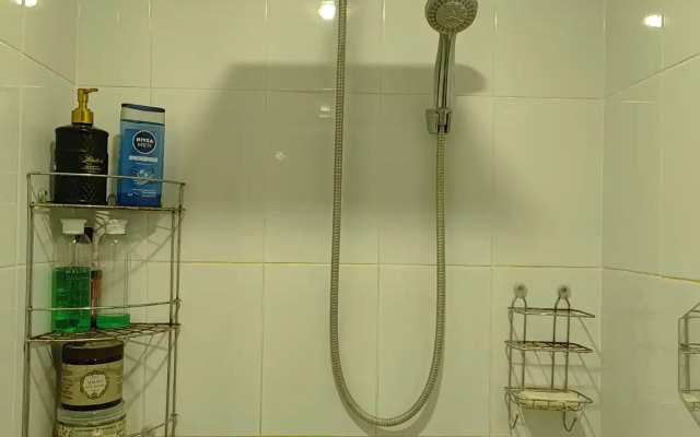 Частный дом с баней и пирсом на берегу пруда