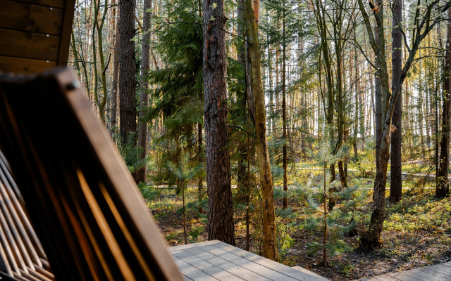 Глэмпинг Море