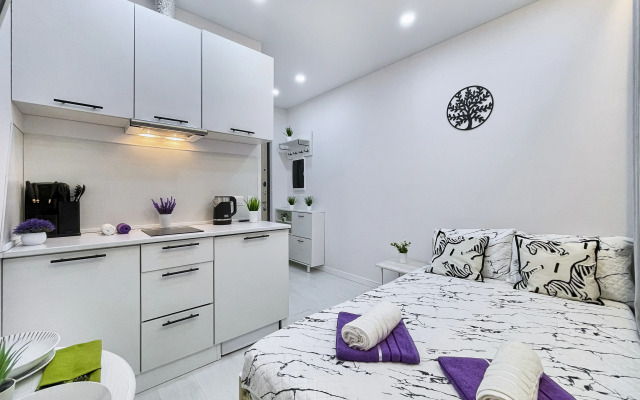 Апартаменты Студия м.Маяковская