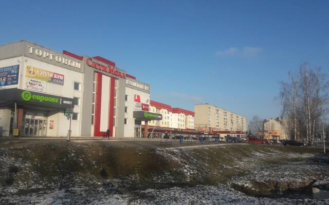 Apartments Prostornaya Kvartira V Tsentre Goroda