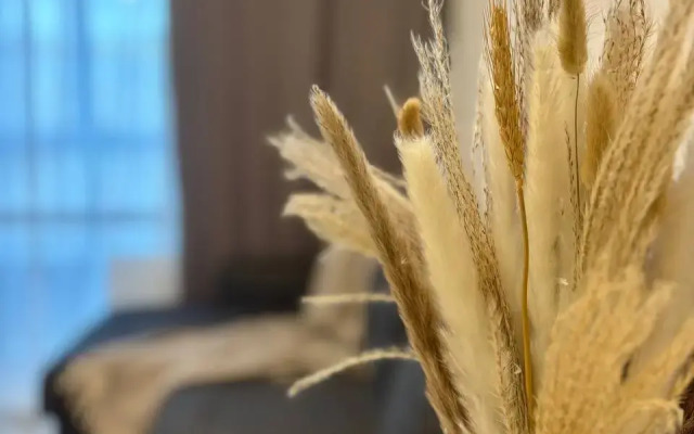 Uyutnaya Yevrodvushka V Tsentralnom Rayone Goroda Kursk Flat