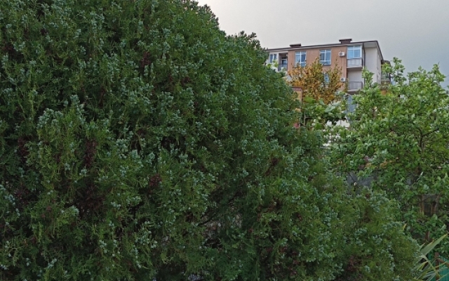 Apartamenty U Kariny Guest house