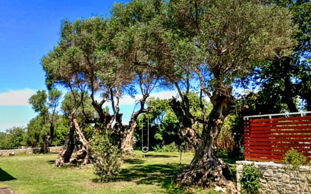 Вилла DisCrete Episkopi