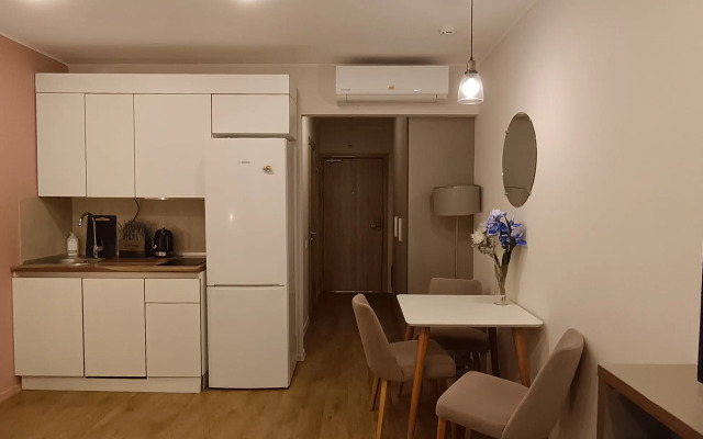 Апартаменты Комфортная студия у метро Горный институт