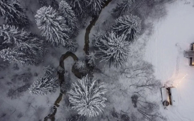 Гостевой дом Хвойный Лес