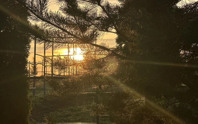 Гостевой дом Первая лошадь