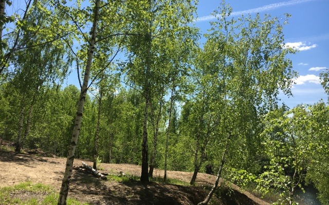 Vladimir Country Club