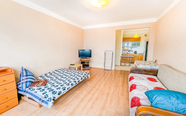Uyutnaya Kvartira Vozle Sheremetyevo Apartments