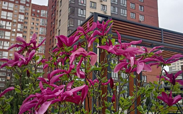 Devushka I Zhuravl Vgosti 61 Apartments
