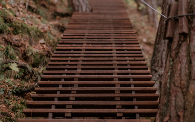 Отель Пайн Ривер