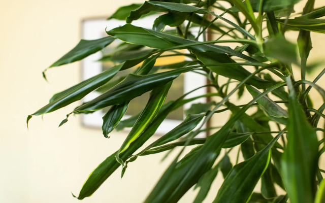 Апартаменты Никитский Бульвар 9