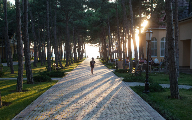 Отель Alma Park Resort