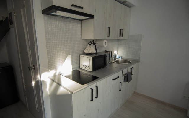 Апартаменты Студия на Фонтанке