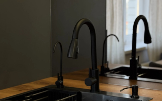 V gostyakh u A. Nevskogo Flat