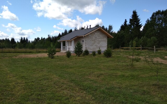 Гостевой дом Scandi house