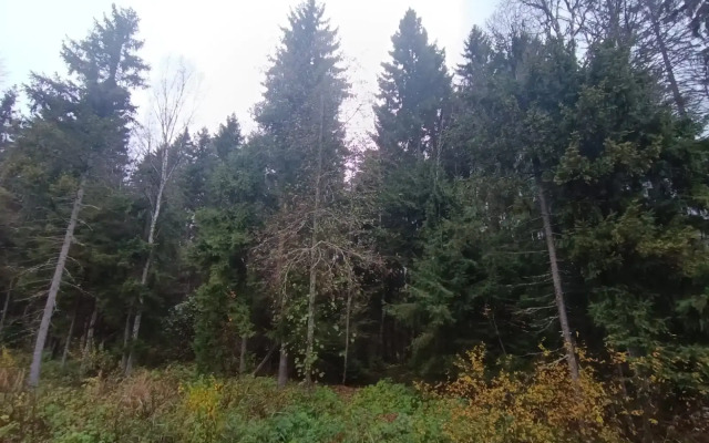 Частный дом Inkeriloft