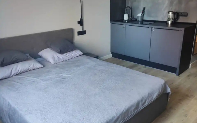 Studiya Na Ladozhskoy Apartment