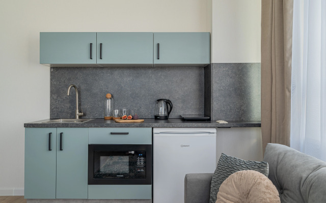 Апартаменты 232а на Радищева 41