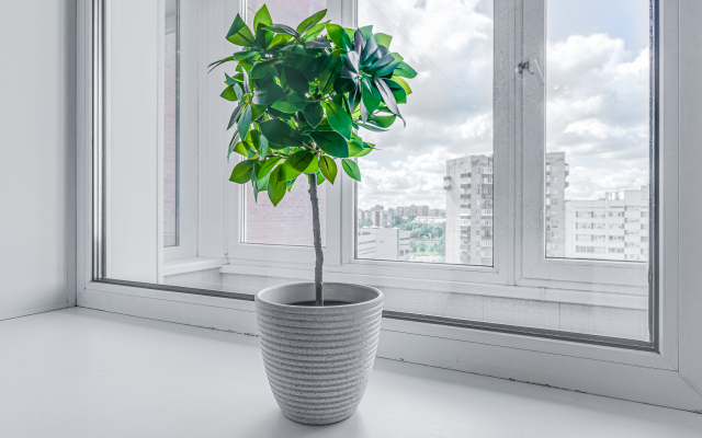 Апартаменты 101Апарт у метро Звездная и Московская