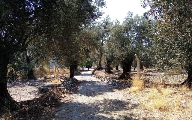 Yazduf Family Holiday Homes