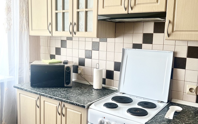 Rybnaya Derevnya Apartments