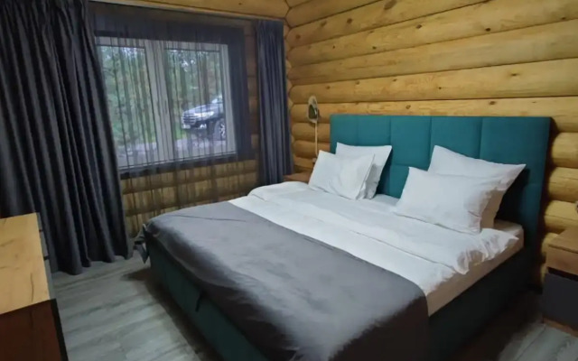 Частный дом в поселке Разливы-1