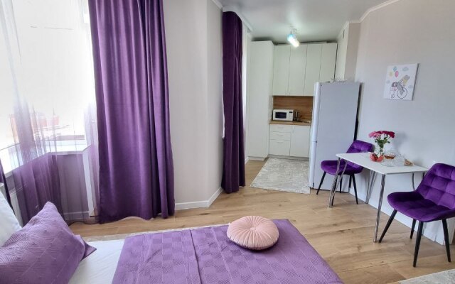 Uyutny Dom 210 Apartments