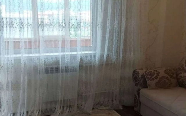Na Ulitse Pushkina 158/1 Apartments