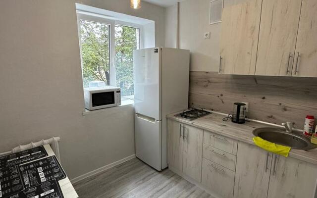 Uyutnye apartamenty v tsentre goroda Flat