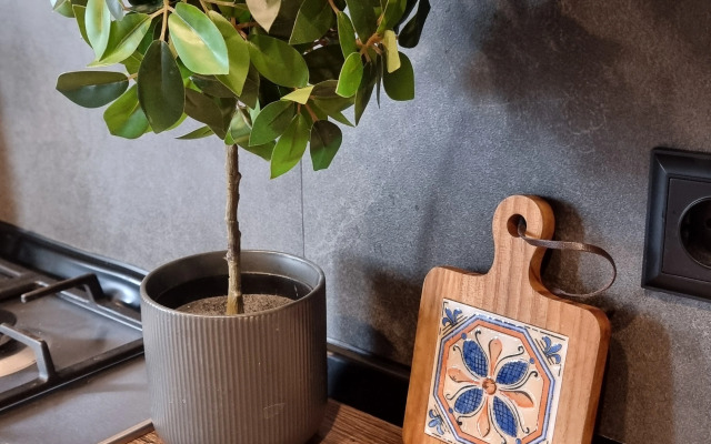 Квартира Olive 1-комнатная