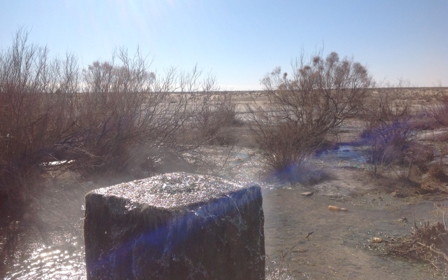 Кемпинг Almagul Yurt