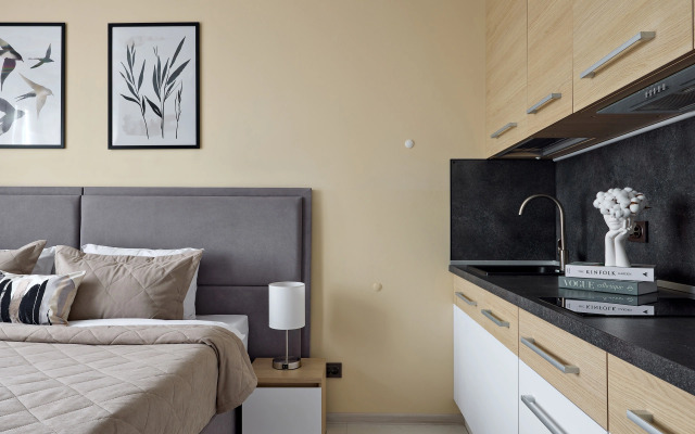 Studiya Na Vasilyevskom Ostrove Apartments