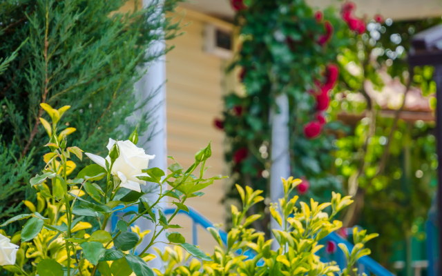 Gelios Guest House