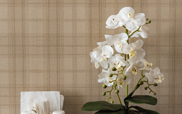 Travertin Latte Apartments