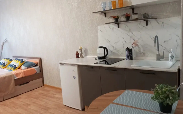 Квартира-студия на Большой Подгорной