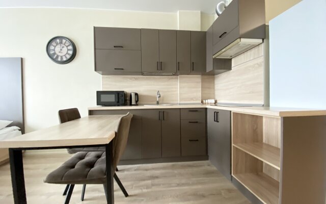 Апартаменты 166 (Воскресенская 59, 9 этаж)