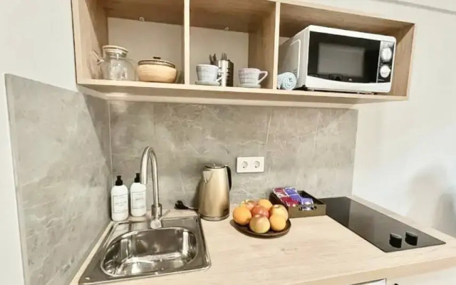 Apartment Metro Plus